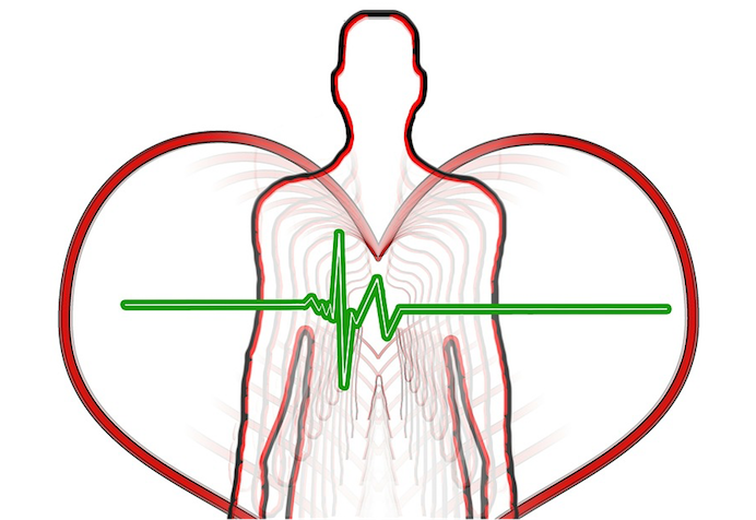 santé cardio-vasculaire