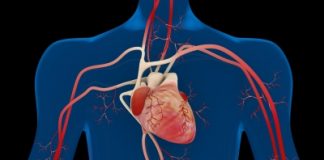 Et si vous pensiez à votre cholestérol ? comment faire baisser taux de cholestérol avec les médecines naturelles ?