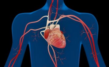 Et si vous pensiez à votre cholestérol ? comment faire baisser taux de cholestérol avec les médecines naturelles ?