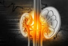 Combattre les calculs comment dissoudre les calculs biliaires et rénaux ?