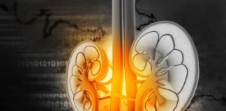 Combattre les calculs comment dissoudre les calculs biliaires et rénaux ?