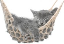 Que la grande détente commence ! Comment apprendre à se détendre ?