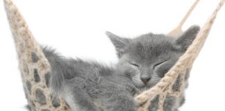 Que la grande détente commence ! Comment apprendre à se détendre ?