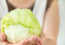 La choucroute, crue ou cuite les bienfaits du chou lacto-fermenté ou choucroute crue