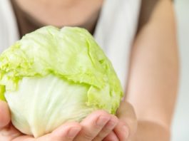 La choucroute, crue ou cuite les bienfaits du chou lacto-fermenté ou choucroute crue