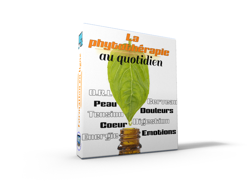 La phytothérapie au quotidien formation en ligne pour apprendre à utiliser les plantes pour se soigner