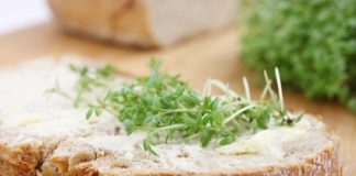 Les margarines pour votre prévention cardiovasculaire la margarine végétale est-elle meilleure que le beurre ?