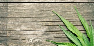 Le textile en chanvre, une alternative saine et écologique Textile en chanvre écologique