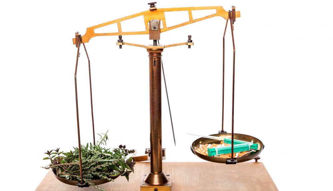 Solutions naturelles pour soigner les troubles mentaux : conférence du Dr Willem Solutions naturelles pour soigner les troubles mentaux : conférence du Dr Willem