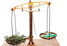 Un R.D.V. à ne pas manquer avec le Dr Willem Solutions naturelles pour soigner les troubles mentaux : conférence du Dr Willem