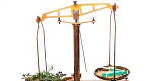 Un R.D.V. à ne pas manquer avec le Dr Willem Solutions naturelles pour soigner les troubles mentaux : conférence du Dr Willem