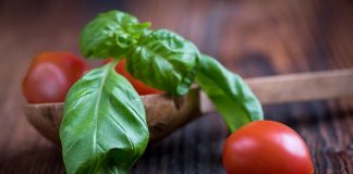 Pour manger plus de légumes… faites des pizzas ! recettes de pizza vegan aux légumes