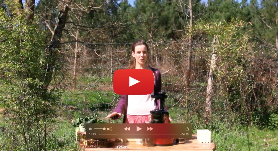 video-extracteur-youtube