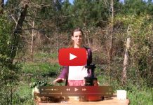 La guérison est dans les jus !