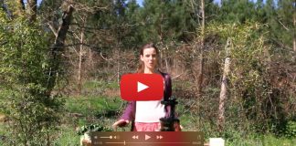 La guérison est dans les jus !