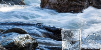 L’eau dynamisée, un remède universel L'eau dynamisée régénère les organismes vivants