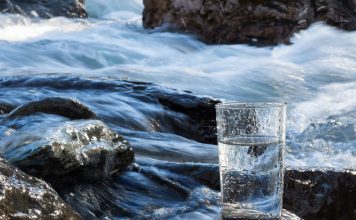 L’eau dynamisée, un remède universel L'eau dynamisée régénère les organismes vivants