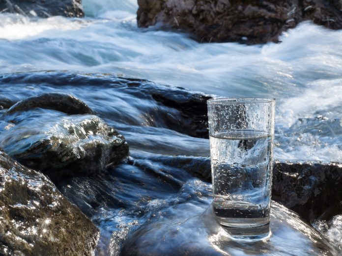 L'eau dynamisée régénère les organismes vivants