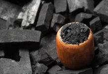 Le charbon, un anti-poison ultra puissant Charbon végétal actif bienfaits détox et antipoison