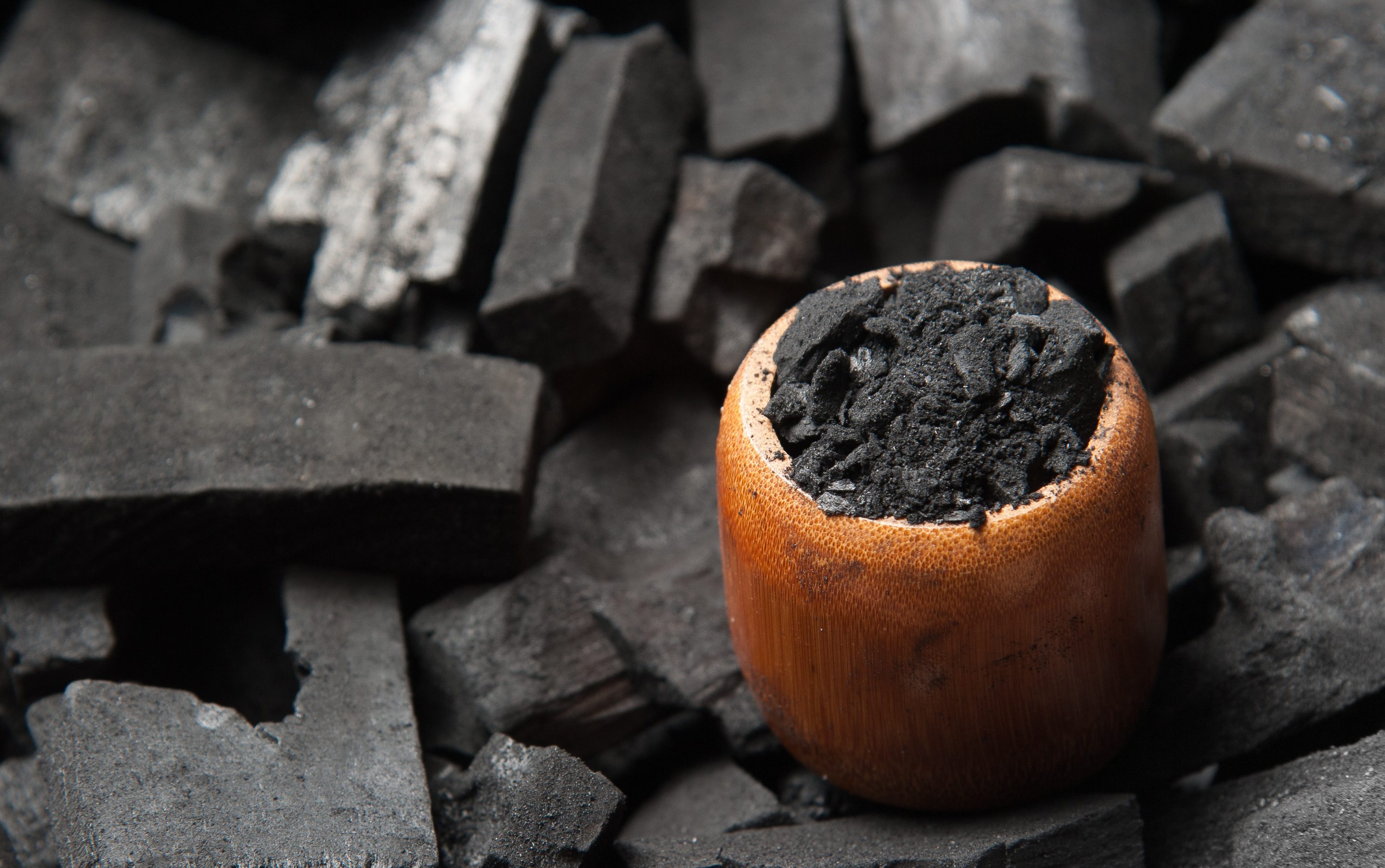 Le charbon, un antipoison ultra puissant Réponses Bio