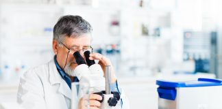 La propolis dans tous ses états – Interview exclusive interview exclusive de réponses bio sur la propolis rouge