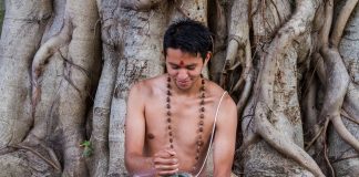 Le Brahmi, la plante des dieux bacopa monnieri brahmi fonctions cognitives tradition védique