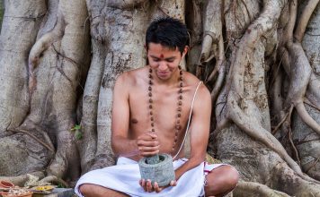 Le Brahmi, la plante des dieux bacopa monnieri brahmi fonctions cognitives tradition védique