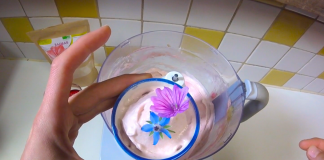 Une recette de glace végane crue au baobab recette glace vegane crue au baobab