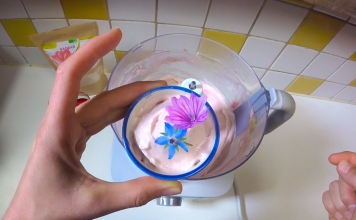 Une recette de glace végane crue au baobab recette glace vegane crue au baobab