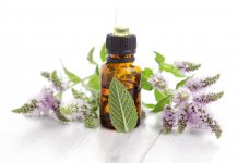 Le pouvoir des huiles essentielles le pouvoir des huiles essentielles