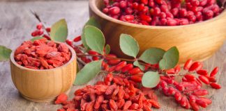 Le goji, grande star des baies Les baies de goji, un super aliment à choisir bio