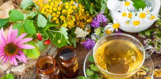 Les plantes anti-douleur Les meilleures plantes pour soulager les douleurs