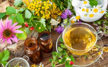 Les plantes anti-douleur Les meilleures plantes pour soulager les douleurs