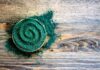 La spiruline, une micro-algue à échelle humaine Spiruline-micro-algue-reponsesbio