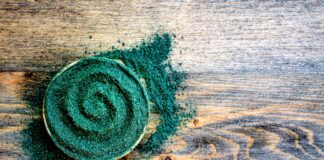 La spiruline, une micro-algue à échelle humaine Spiruline-micro-algue-reponsesbio