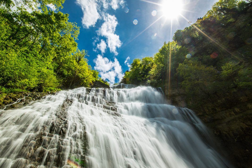 l'importance des oligo-éléments pour la santé l'importance des oligo-éléments pour la santé