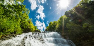 La force des oligo-éléments l'importance des oligo-éléments pour la santé