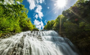 La force des oligo-éléments l'importance des oligo-éléments pour la santé