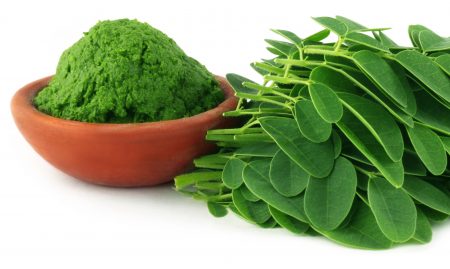 Vertus du Moringa : graines, écorce, feuilles, racines