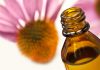 Deux plantes pour booster le système immunitaire Phytothérapie : quelles plantes pour stimuler le système immunitaire ?