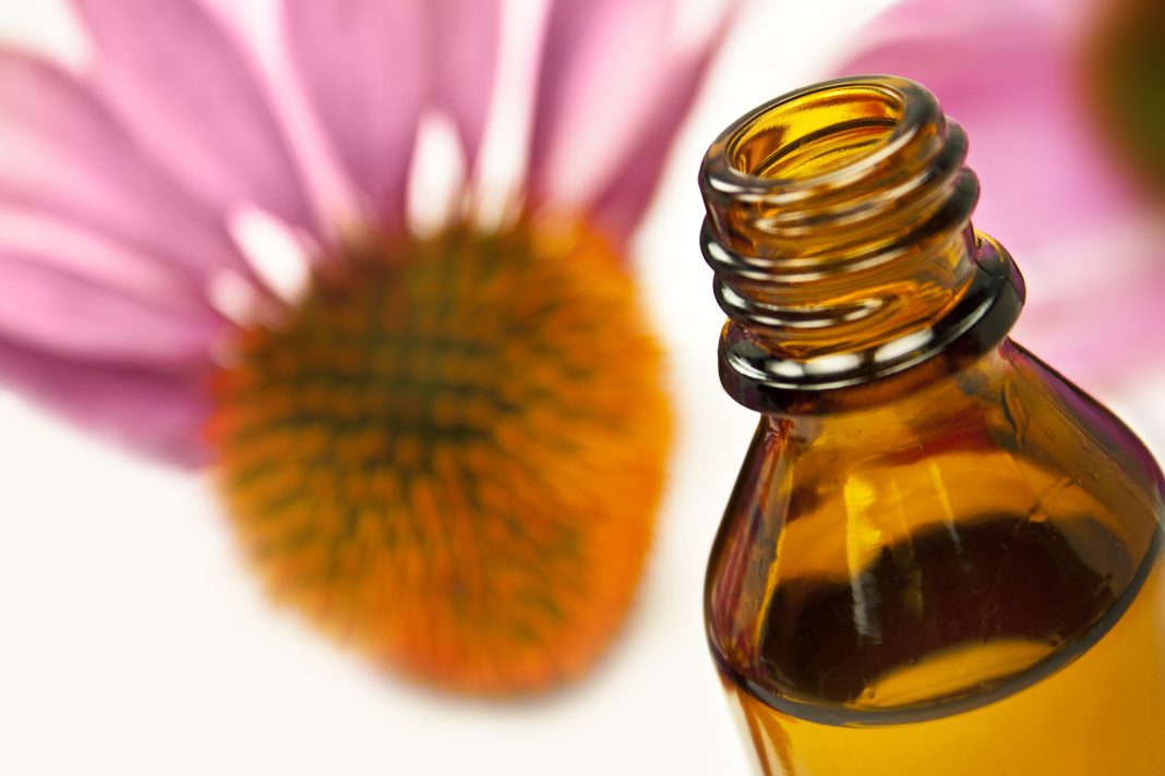 Phytothérapie : quelles plantes pour stimuler le système immunitaire ?