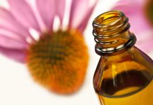 Deux plantes pour booster le système immunitaire Phytothérapie : quelles plantes pour stimuler le système immunitaire ?