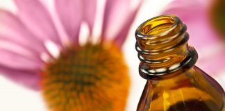 Deux plantes pour booster le système immunitaire Phytothérapie : quelles plantes pour stimuler le système immunitaire ?