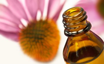 Deux plantes pour booster le système immunitaire Phytothérapie : quelles plantes pour stimuler le système immunitaire ?