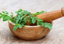 Le Moringa, l’arbre aux 300 facettes Quelles sont les vertus du Moringa : graines, écorce, feuilles, racines