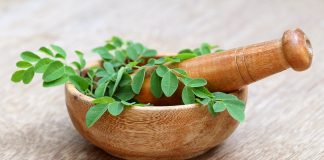Le Moringa, l’arbre aux 300 facettes Quelles sont les vertus du Moringa : graines, écorce, feuilles, racines