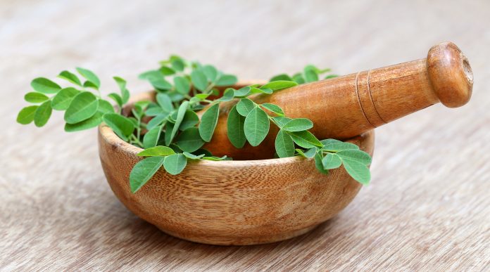 Quelles sont les vertus du Moringa : graines, écorce, feuilles, racines