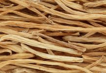 La Shatavari, une panacée au féminin Shatavari plante des femmes : fécondité, grossesse, ménopause, fausse couche, syndrome prémenstruel...