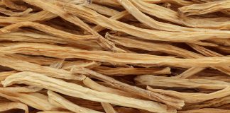 La Shatavari, une panacée au féminin Shatavari plante des femmes : fécondité, grossesse, ménopause, fausse couche, syndrome prémenstruel...