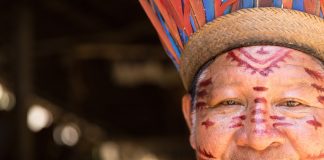 Les Indiens Guarani accusent des multinationales de « biopiraterie » Indiens Guarani accusent des multinationales de bioraterie